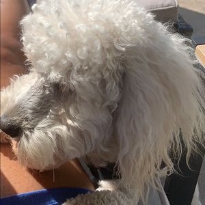 Meet your Posher, Keisha